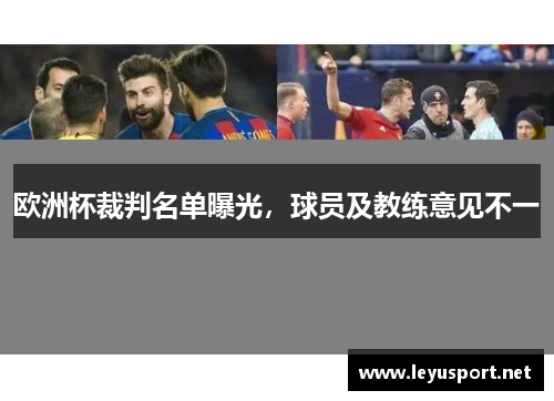 欧洲杯裁判名单曝光，球员及教练意见不一